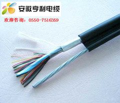 (白山硅橡胶计算机电缆)(ZRC-DJYP2VP2电缆导体)