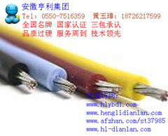 (安庆)(GKFB12FO高压扁电缆)(蓟电电力)