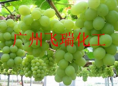 葡萄籽油 葡萄油 基础油 植物油