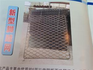 广东肇庆优质新型脚踏网租售